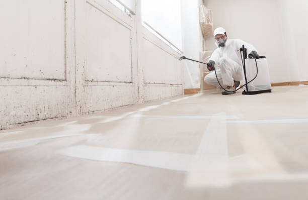 24/7 Emergency Crawl Space Mold Removal experts in Rocky Hill, NJ